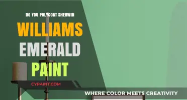 Polycoating Sherwin Williams Emerald Paint: Benefits, Process, and Tips