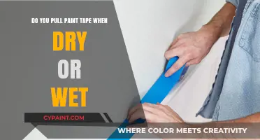 The Best Time to Pull Paint Tape: Dry or Wet?