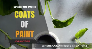 Should You Re-Tape Between Paint Coats? Expert Tips for Flawless Results