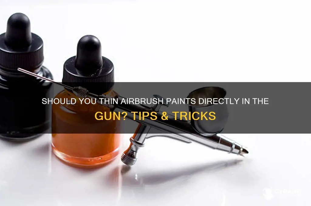 do you reduce airbrush paints in the gun