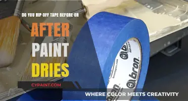 Paint First, Peel Later: Timing Tape Removal for Flawless Finishes