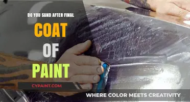 Should You Sand After the Final Coat of Paint? Expert Tips