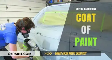 Should You Sand the Final Coat of Paint? Expert Tips and Advice