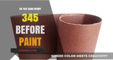 Should You Sand Henry 345 Before Painting? Expert Tips & Advice