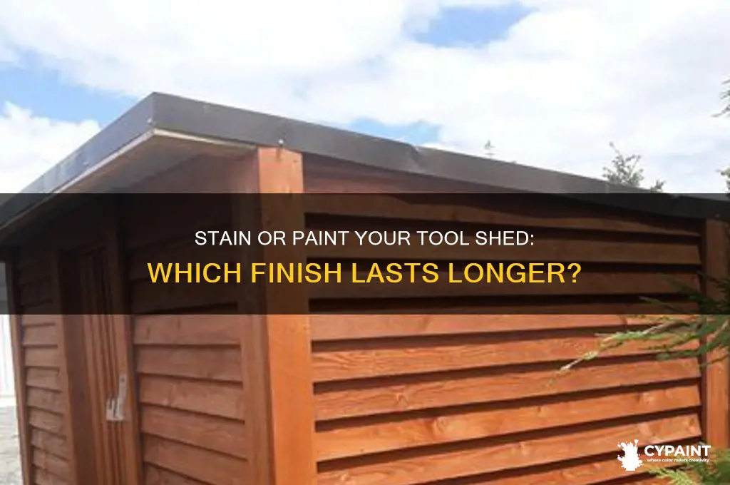 do you stain or paint a tool shed