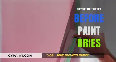 Should You Remove Tape Before Paint Dries? Expert Tips and Advice