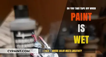 The Best Time to Remove Tape: Wet or Dry Paint?