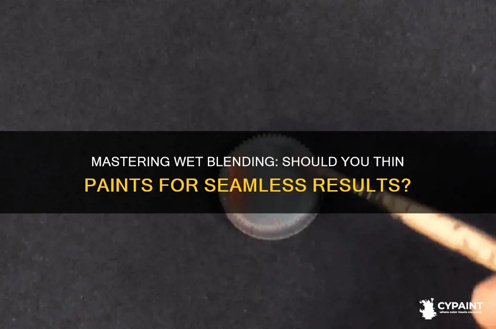 do you thin paints for wet blending