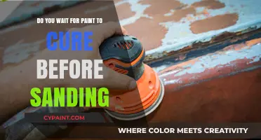 Sanding Wet Paint: When to Sand and Why