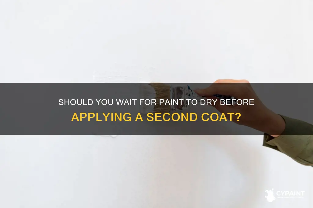 do you wait for paint to dry before second coat