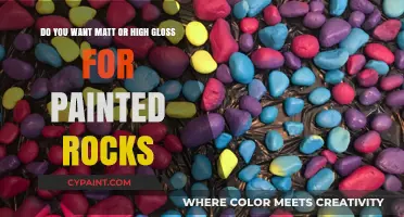 Matt or High Gloss: Choosing the Perfect Finish for Painted Rocks