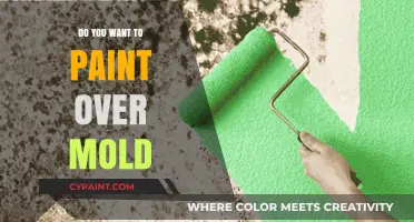 Painting Over Mold: Risks, Solutions, and Safe Alternatives Explained