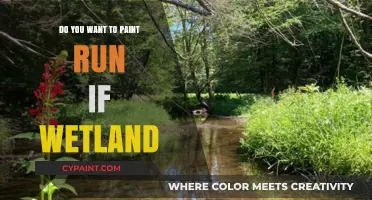 Paint Run in Wetlands: Tips, Techniques, and Creative Ideas