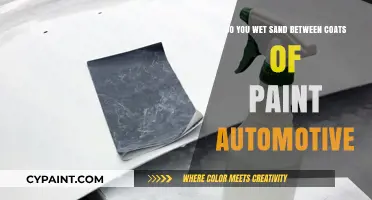 Wet Sanding Between Paint Coats: A Must for Smooth Finishes