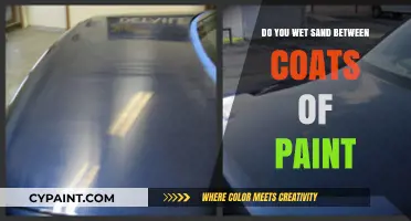 Wet Sanding Between Paint Coats: Essential Technique or Unnecessary Step?
