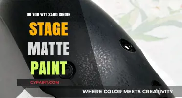 Wet Sanding Single Stage Matte Paint: Techniques and Best Practices