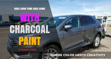 2008 Ford Edge Charcoal Paint Option: Availability and Details