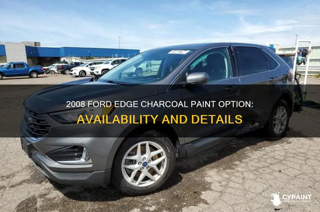 does 2008 ford edge come with charcoal paint