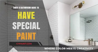 Choosing the Right Paint for Bathrooms: Special Requirements Explained