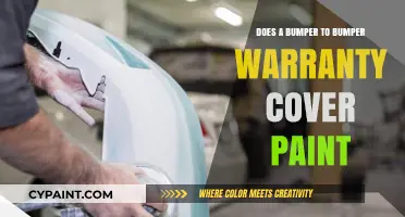 Does Bumper-to-Bumper Warranty Cover Paint? What You Need to Know