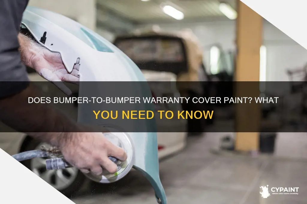 does a bumper to bumper warranty cover paint