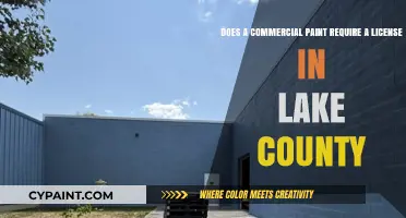 Commercial Painting License Requirements in Lake County: What You Need to Know