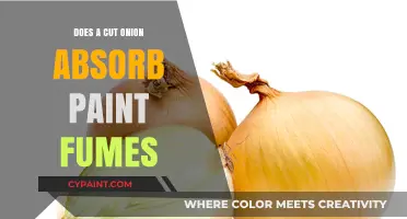Can Cut Onions Absorb Paint Fumes? Separating Fact from Fiction