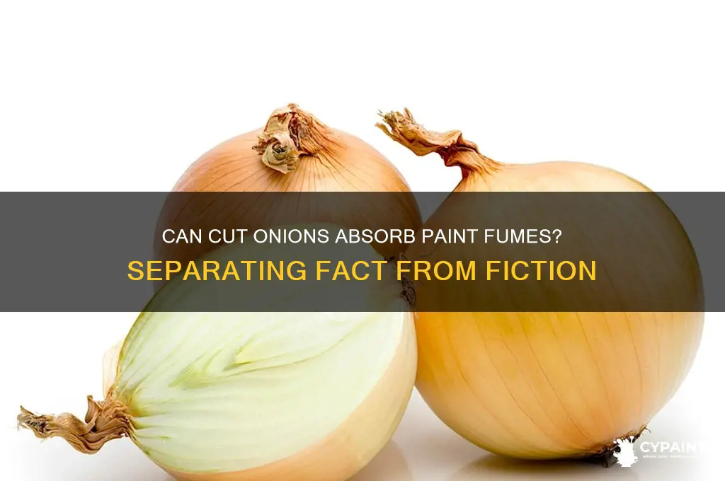 does a cut onion absorb paint fumes
