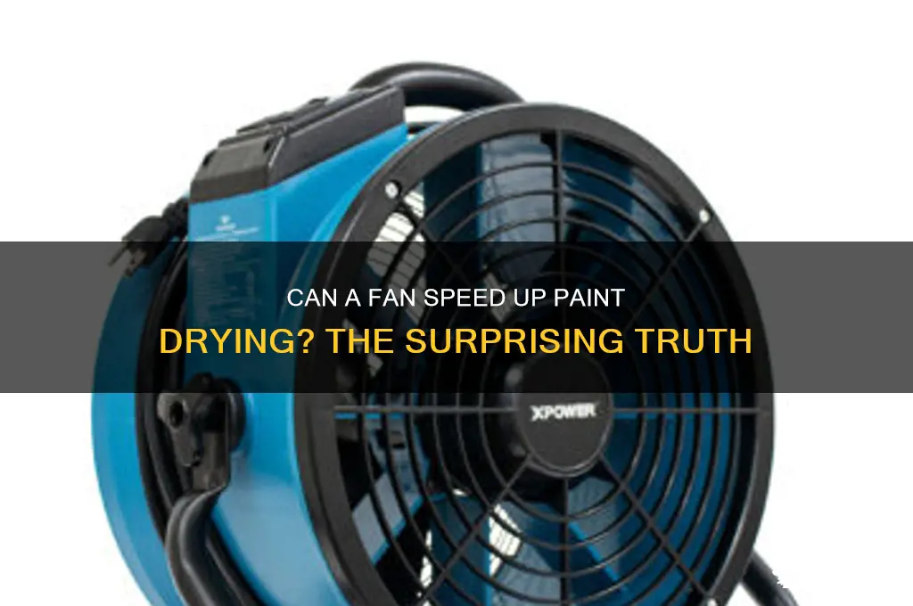 does a fan help paint dry faster