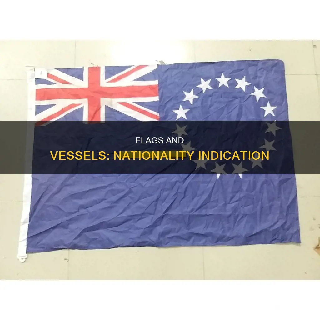 does a flag painted on a vessel indicate nationality