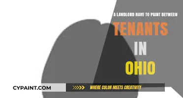 Ohio Landlord Responsibilities: Painting Between Tenants - What's Required?