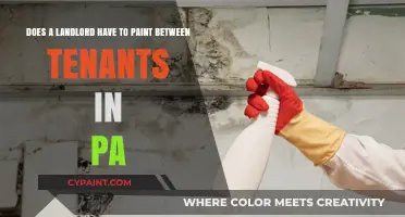PA Landlord Responsibilities: Painting Requirements Between Tenants Explained