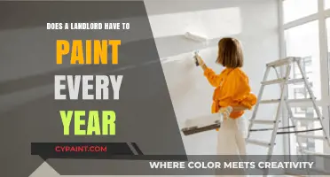 Landlord Painting Responsibilities: Annual Requirement or Tenant Misconception?