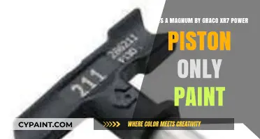 Graco XR7 Magnum Power Piston: Paint-Only Functionality Explained