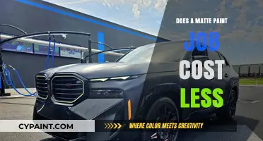 Matte Paint Jobs: Are They a Budget-Friendly Car Customization Option?
