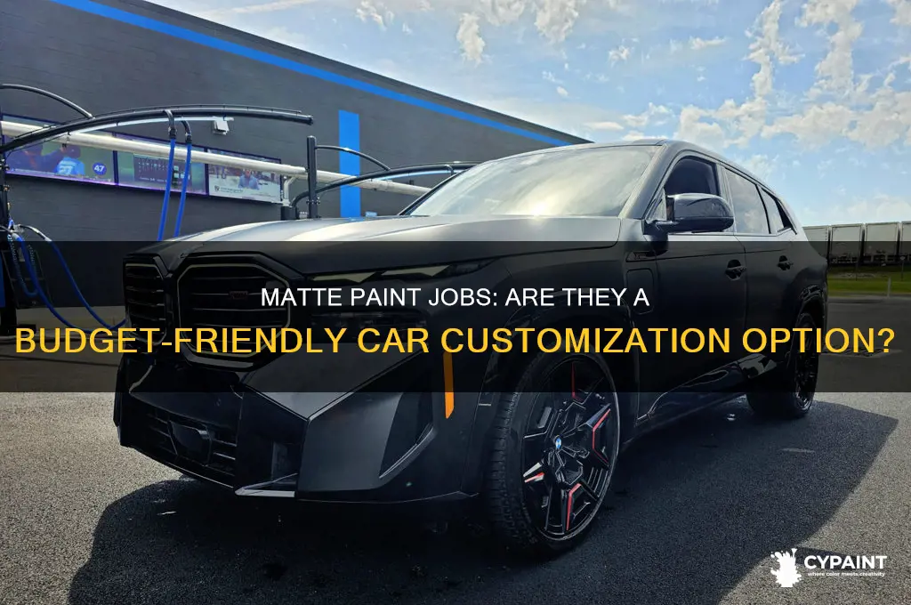 does a matte paint job cost less