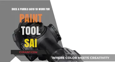 Parblo A610 10: Compatibility and Performance with Paint Tool SAI