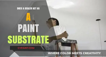 Can Sealers Function as Effective Paint Substrates? Exploring the Role