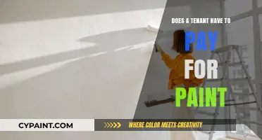 Tenant Paint Responsibility: Who Pays for Wall Repainting?