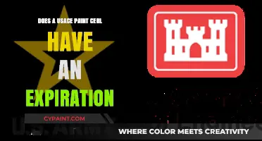 Does a USACE Paint Certification Expire? Key Facts Explained