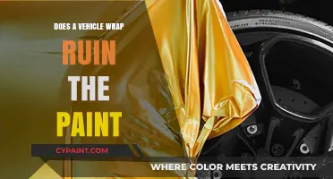 Vehicle Wraps and Paint: Debunking Myths About Long-Term Damage