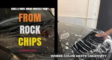 Vinyl Wrap: Rock Chip Protection for Your Car's Paint Job?