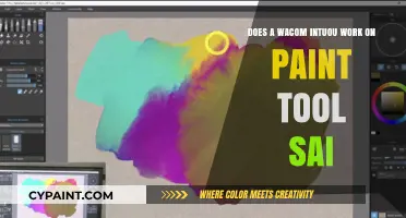 Wacom Intuos and PaintTool SAI: A Perfect Match?