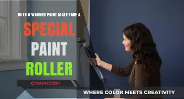 Wagner Paint Mate: Special Roller Required or Standard Fit?