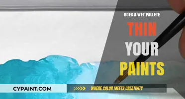 Wet Palette Paint Thinning: Myth or Essential Technique for Artists?