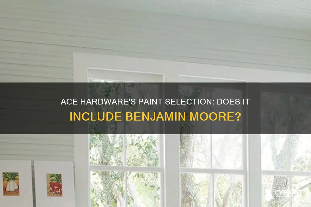 does ace hardware carry benjamin moore paints
