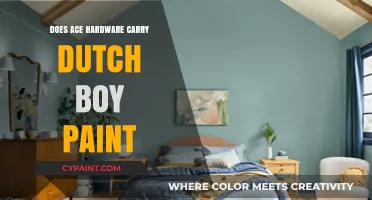 Ace Hardware's Paint Selection: Does Dutch Boy Paint Make the Cut?
