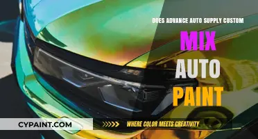 Does Advance Auto Offer Custom Mixed Auto Paint? Find Out Here