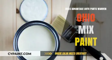Does Advantage Auto Parts in Warren, Ohio Mix Paint?