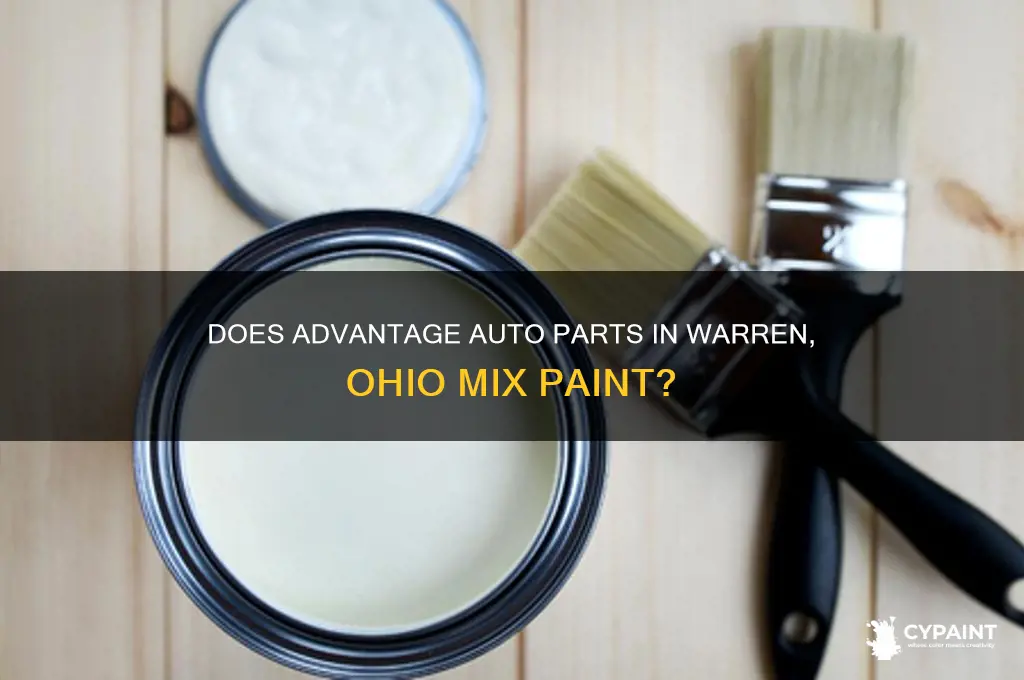 does advantage auto parts warren ohio mix paint
